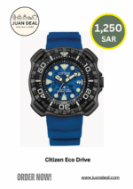 Citizen Eco Drive